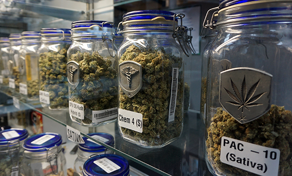 Jars of cannabis at a Medicine Man store. Photo by George Demopoulos. 