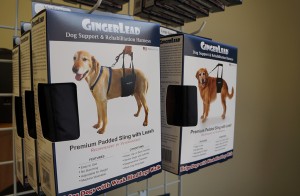 GingerLead has sold 40,000 units and received three patents on the invention. (Amy DiPierro)