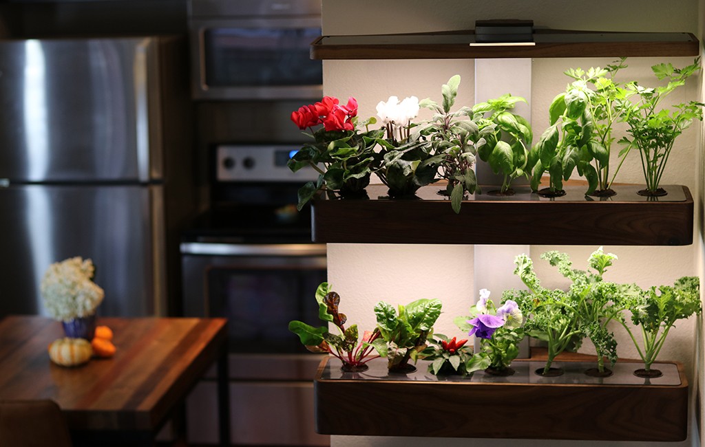 The shelf planter automatically pumps water and vitamins, dims or brightens a light and monitor's the temperature. (Courtesy EDN)