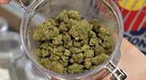 7.21D Cannabis 1