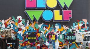 8.4D Meow Wolf 3